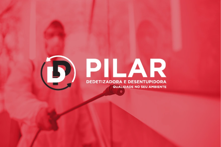 DD Pilar DD Pilar