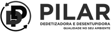 DD Pilar